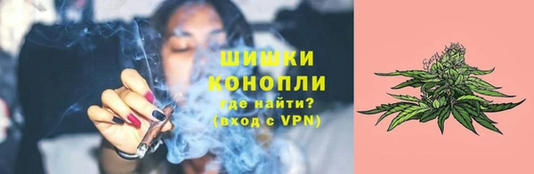крисы Балахна