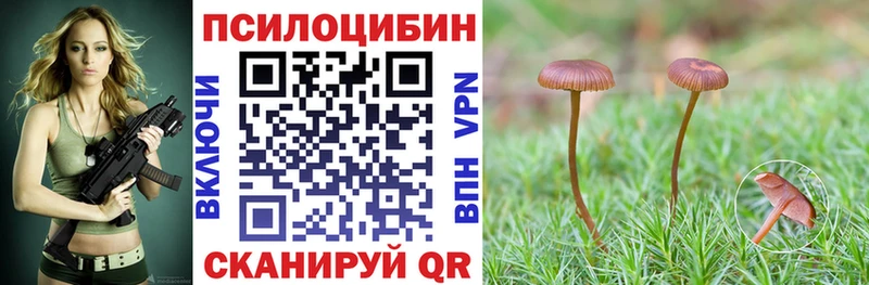 Галлюциногенные грибы MAGIC MUSHROOMS  Белая Холуница 